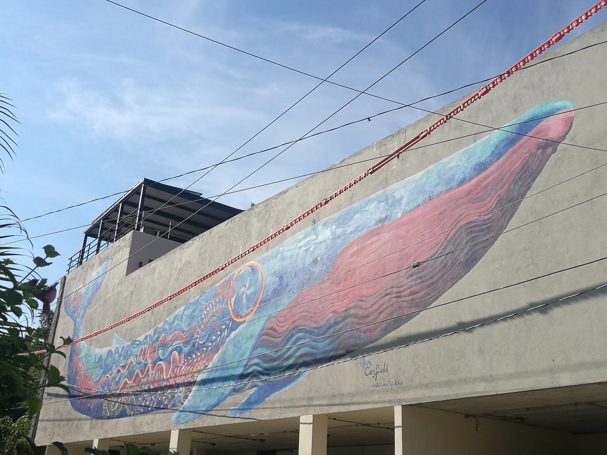 Casa de la Ballena Sayulita Exterior foto